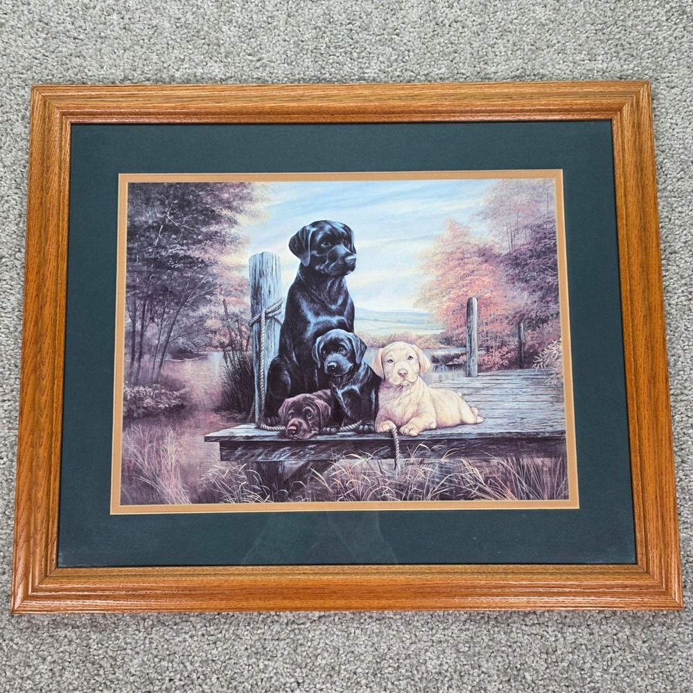 Ruane Manning "Swimming Lessons" Labrador Retriever Framed Art Print 22x18